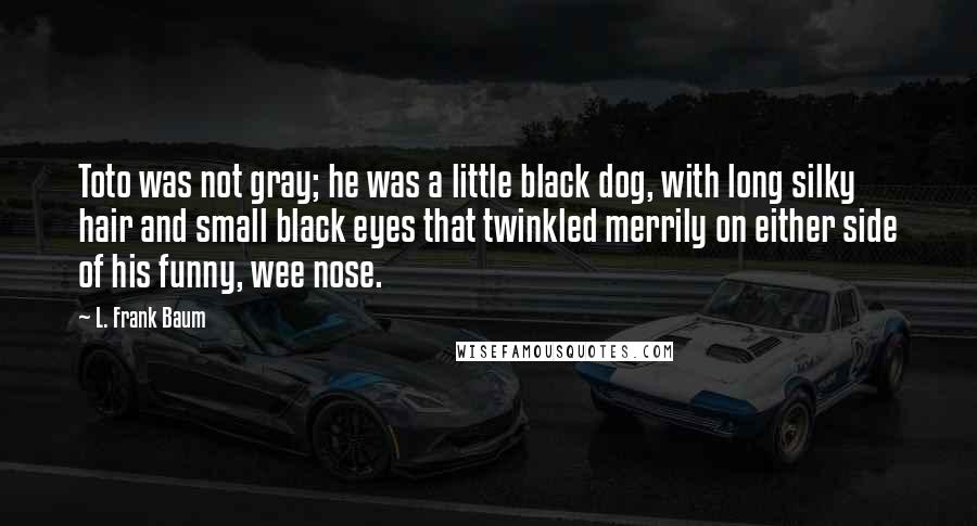 L. Frank Baum Quotes: Toto was not gray; he was a little black dog, with long silky hair and small black eyes that twinkled merrily on either side of his funny, wee nose.