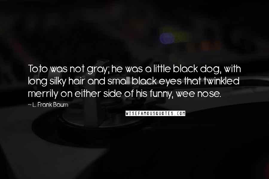 L. Frank Baum Quotes: Toto was not gray; he was a little black dog, with long silky hair and small black eyes that twinkled merrily on either side of his funny, wee nose.