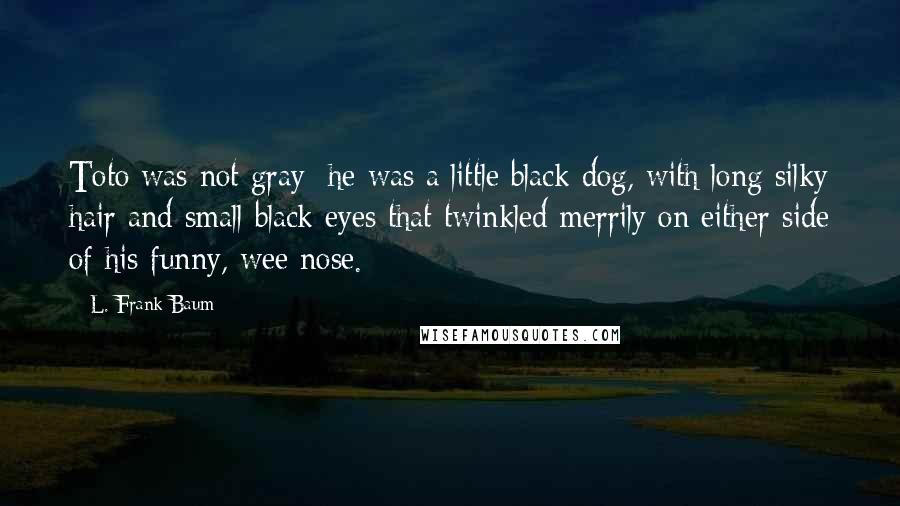 L. Frank Baum Quotes: Toto was not gray; he was a little black dog, with long silky hair and small black eyes that twinkled merrily on either side of his funny, wee nose.