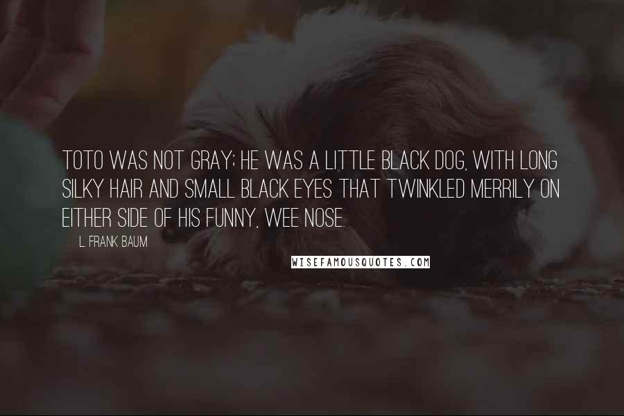 L. Frank Baum Quotes: Toto was not gray; he was a little black dog, with long silky hair and small black eyes that twinkled merrily on either side of his funny, wee nose.