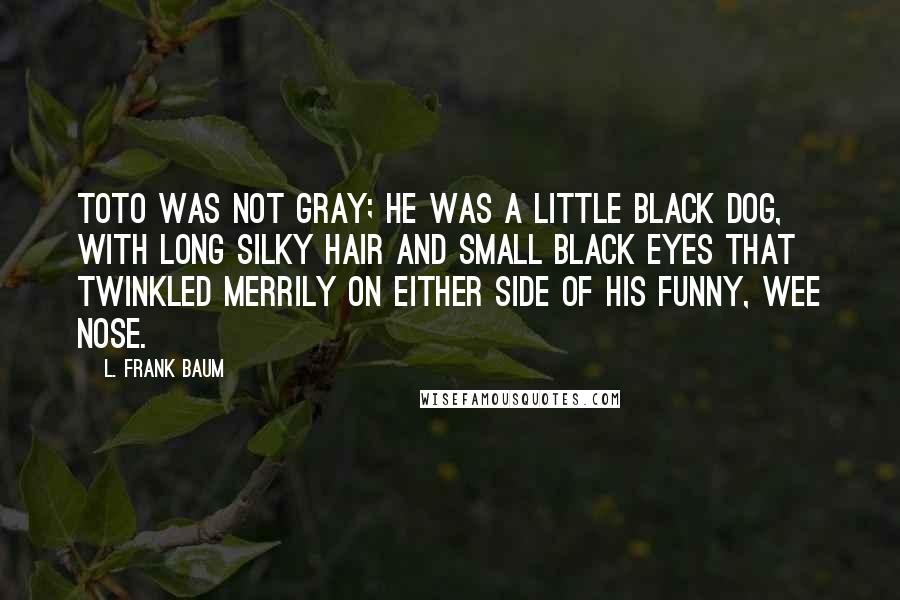 L. Frank Baum Quotes: Toto was not gray; he was a little black dog, with long silky hair and small black eyes that twinkled merrily on either side of his funny, wee nose.