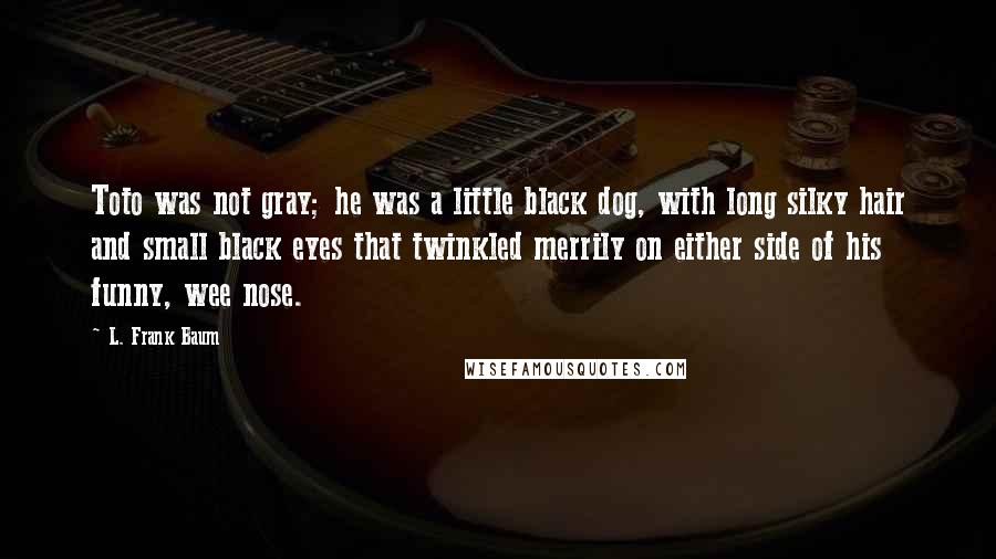 L. Frank Baum Quotes: Toto was not gray; he was a little black dog, with long silky hair and small black eyes that twinkled merrily on either side of his funny, wee nose.