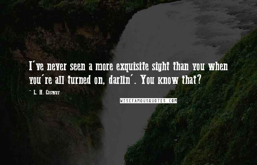 L. H. Cosway Quotes: I've never seen a more exquisite sight than you when you're all turned on, darlin'. You know that?