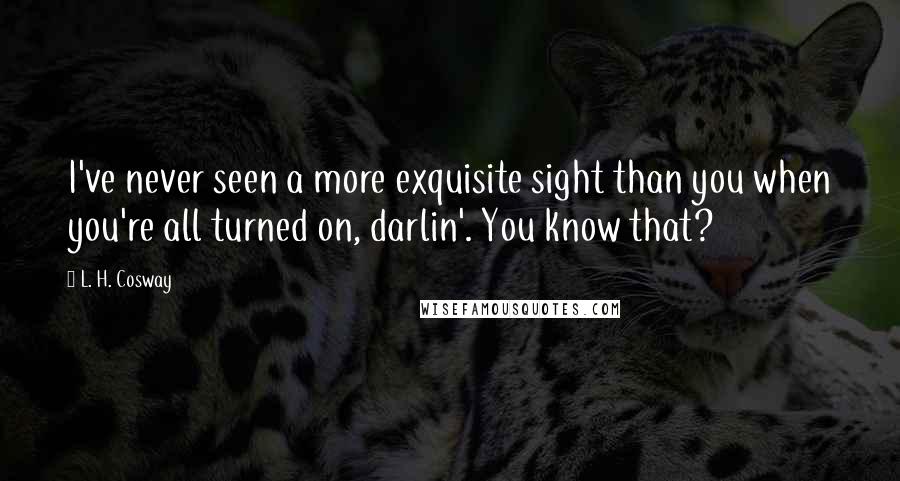 L. H. Cosway Quotes: I've never seen a more exquisite sight than you when you're all turned on, darlin'. You know that?