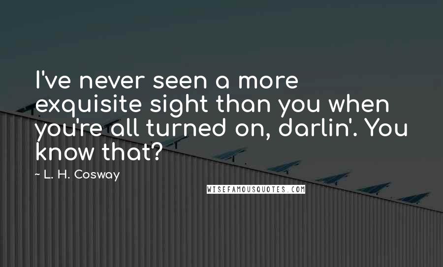 L. H. Cosway Quotes: I've never seen a more exquisite sight than you when you're all turned on, darlin'. You know that?