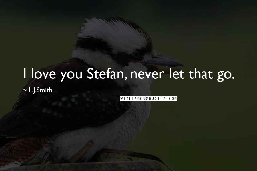 L.J.Smith Quotes: I love you Stefan, never let that go.