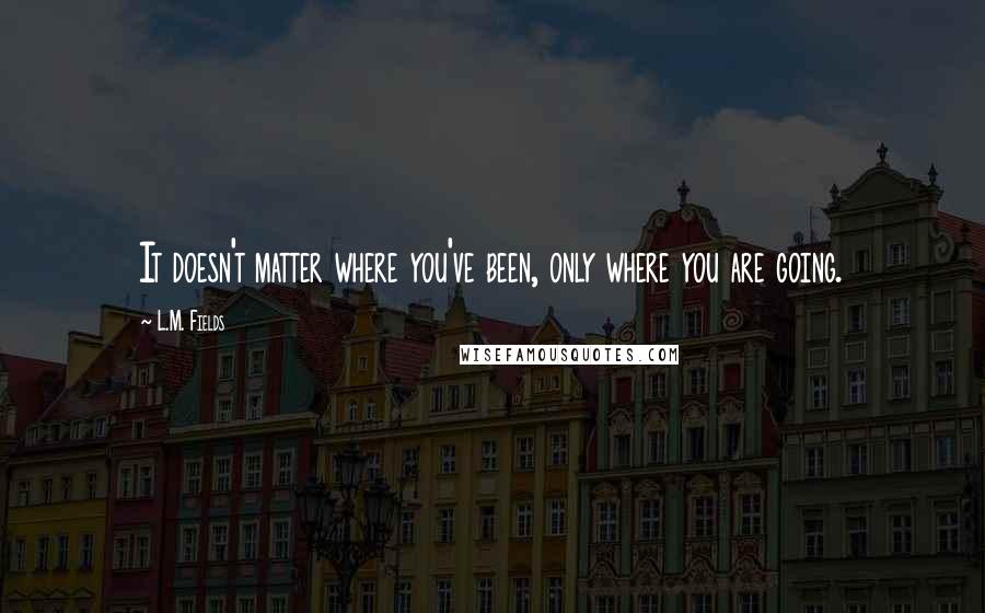 L.M. Fields Quotes: It doesn't matter where you've been, only where you are going.