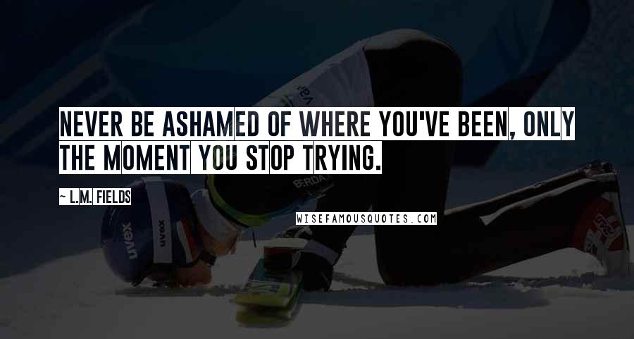 L.M. Fields Quotes: Never be ashamed of where you've been, only the moment you stop trying.