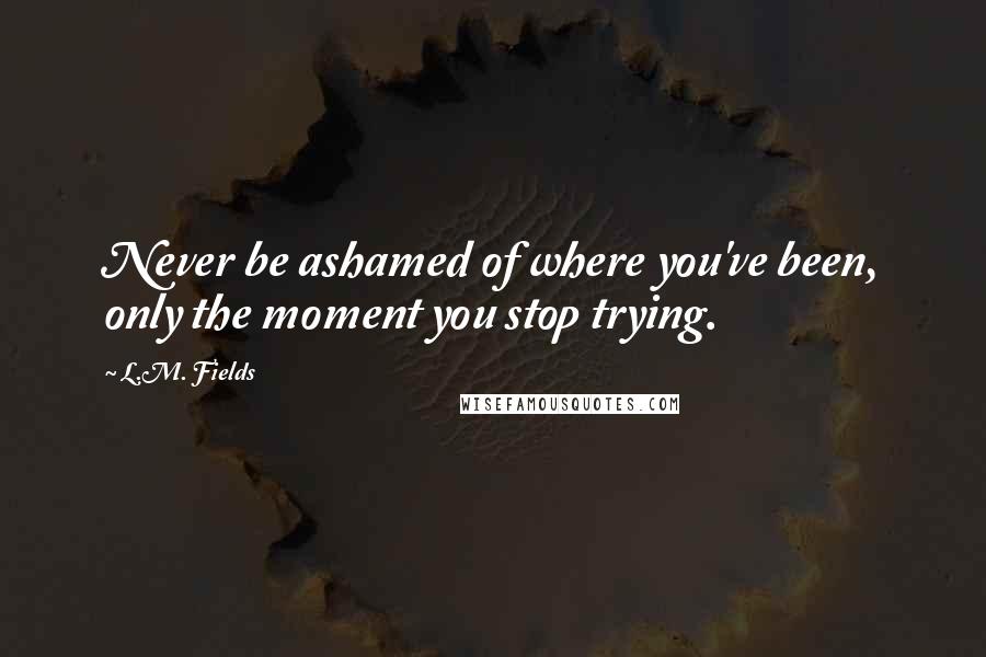 L.M. Fields Quotes: Never be ashamed of where you've been, only the moment you stop trying.