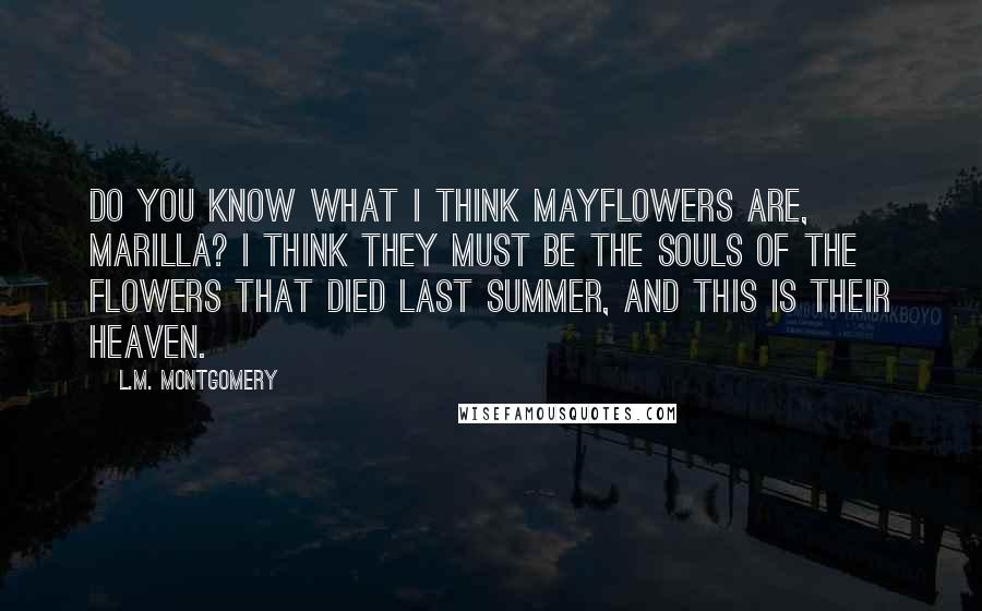 L.M. Montgomery Quotes: Do you know what I think Mayflowers are, Marilla? I think they must be the souls of the flowers that died last summer, and this is their heaven.