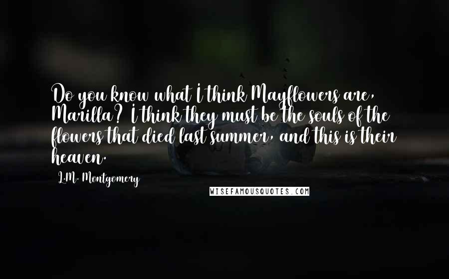 L.M. Montgomery Quotes: Do you know what I think Mayflowers are, Marilla? I think they must be the souls of the flowers that died last summer, and this is their heaven.