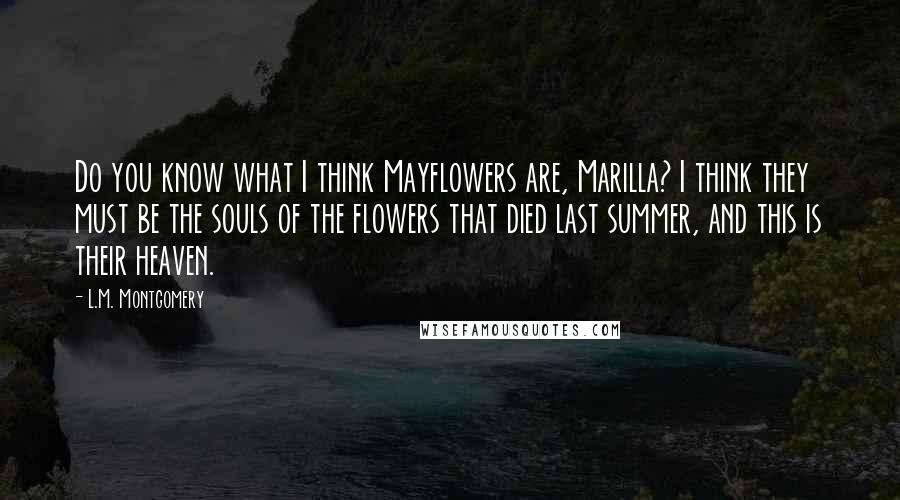 L.M. Montgomery Quotes: Do you know what I think Mayflowers are, Marilla? I think they must be the souls of the flowers that died last summer, and this is their heaven.