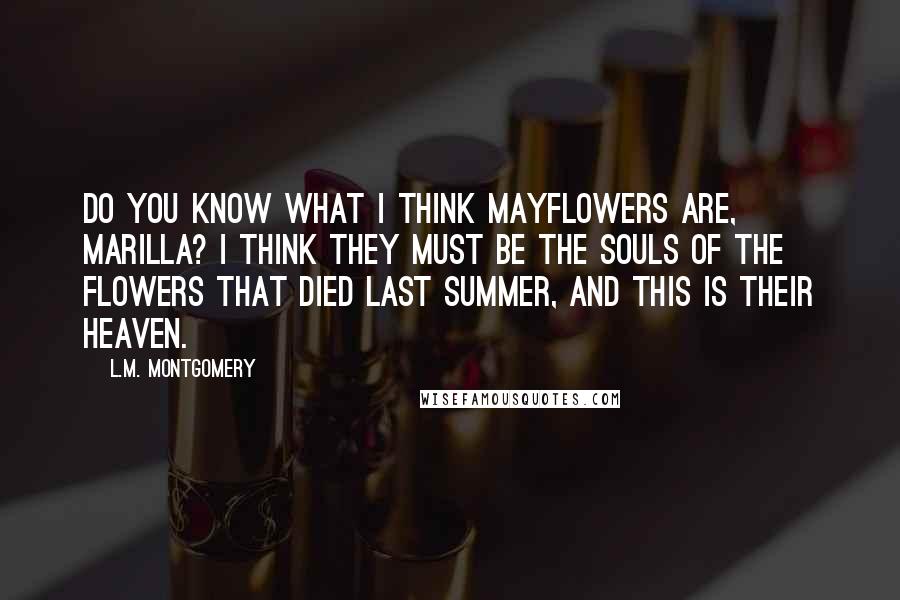 L.M. Montgomery Quotes: Do you know what I think Mayflowers are, Marilla? I think they must be the souls of the flowers that died last summer, and this is their heaven.