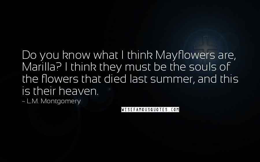 L.M. Montgomery Quotes: Do you know what I think Mayflowers are, Marilla? I think they must be the souls of the flowers that died last summer, and this is their heaven.