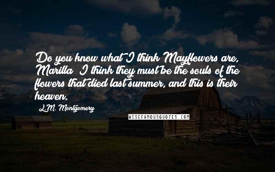 L.M. Montgomery Quotes: Do you know what I think Mayflowers are, Marilla? I think they must be the souls of the flowers that died last summer, and this is their heaven.