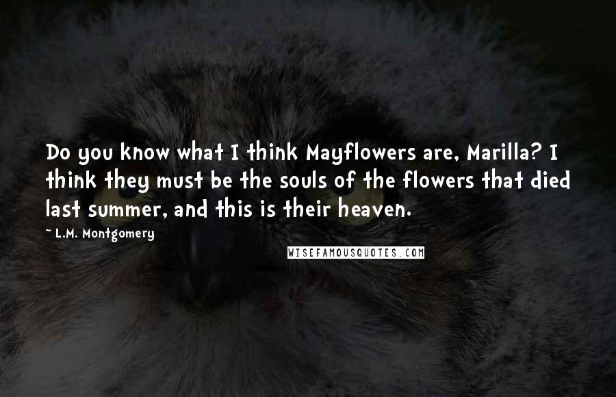 L.M. Montgomery Quotes: Do you know what I think Mayflowers are, Marilla? I think they must be the souls of the flowers that died last summer, and this is their heaven.