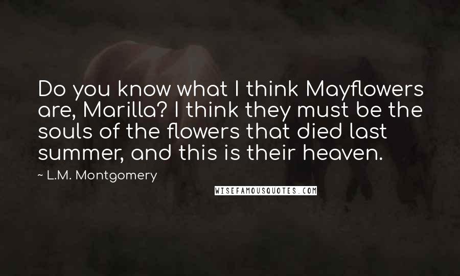 L.M. Montgomery Quotes: Do you know what I think Mayflowers are, Marilla? I think they must be the souls of the flowers that died last summer, and this is their heaven.