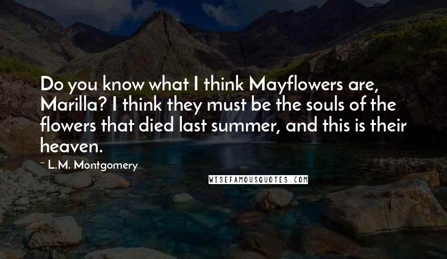 L.M. Montgomery Quotes: Do you know what I think Mayflowers are, Marilla? I think they must be the souls of the flowers that died last summer, and this is their heaven.
