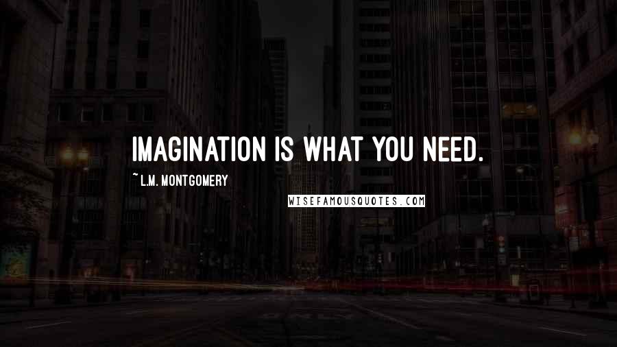 L.M. Montgomery Quotes: Imagination is what you need.