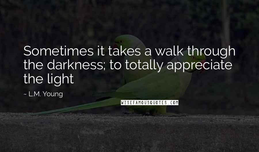 L.M. Young Quotes: Sometimes it takes a walk through the darkness; to totally appreciate the light