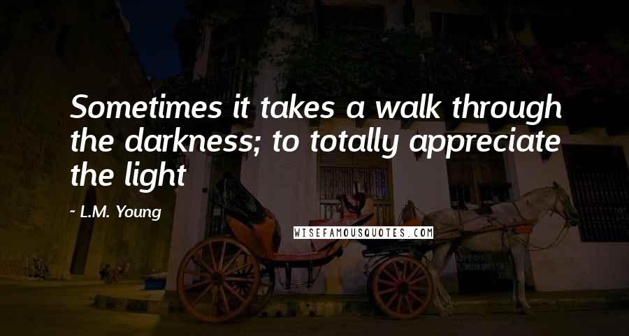 L.M. Young Quotes: Sometimes it takes a walk through the darkness; to totally appreciate the light