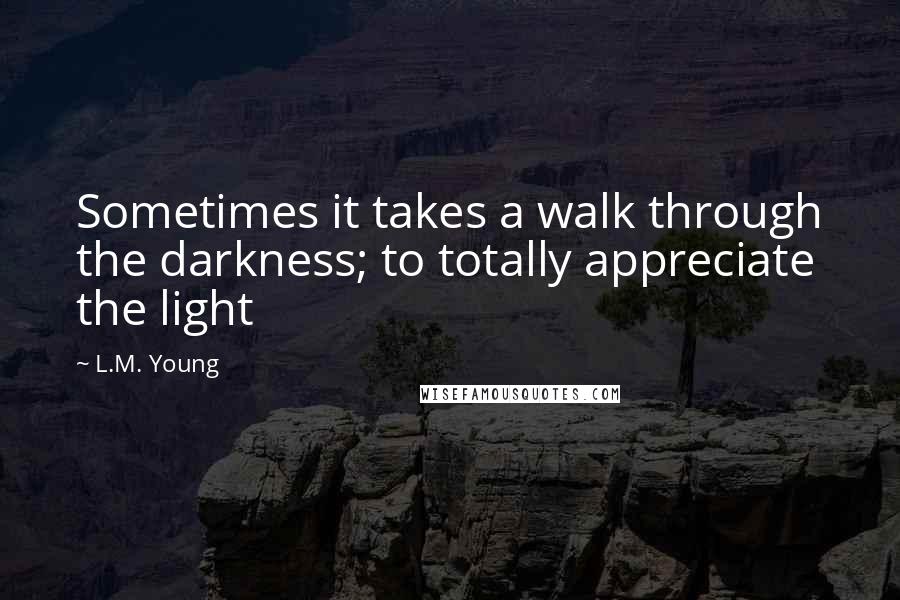 L.M. Young Quotes: Sometimes it takes a walk through the darkness; to totally appreciate the light