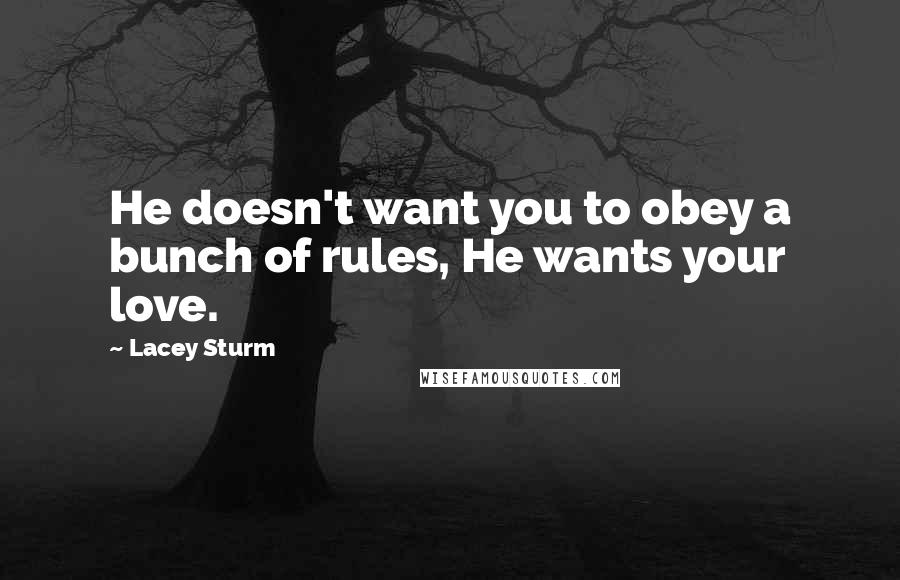 Lacey Sturm Quotes: He doesn't want you to obey a bunch of rules, He wants your love.