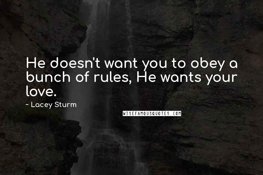 Lacey Sturm Quotes: He doesn't want you to obey a bunch of rules, He wants your love.