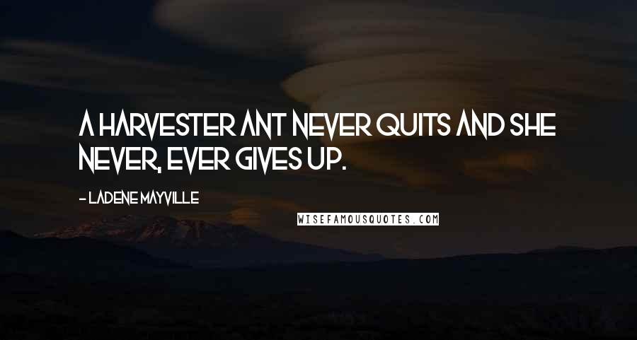 LaDene Mayville Quotes: A harvester ant never quits and she never, ever gives up.