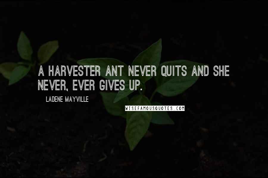 LaDene Mayville Quotes: A harvester ant never quits and she never, ever gives up.