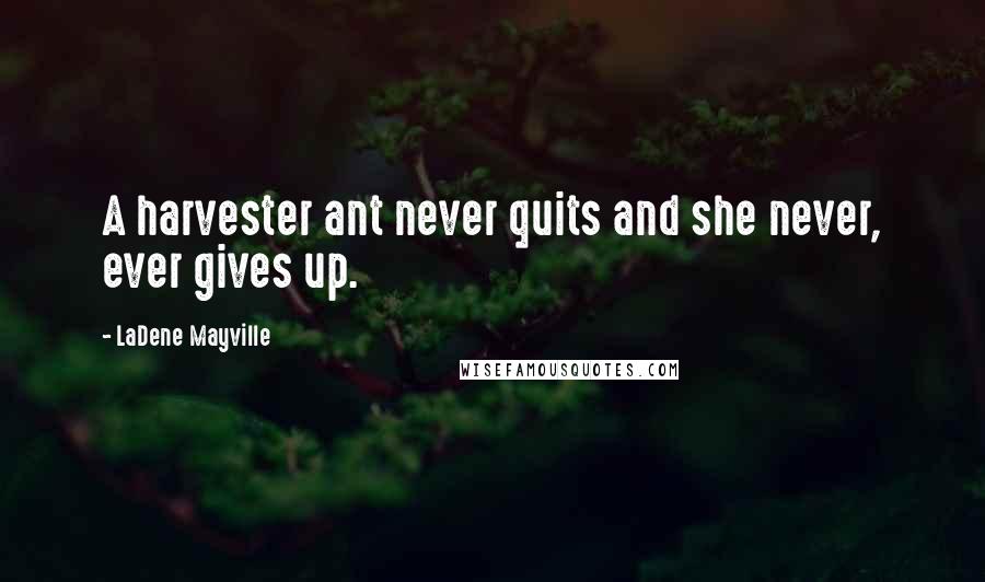 LaDene Mayville Quotes: A harvester ant never quits and she never, ever gives up.