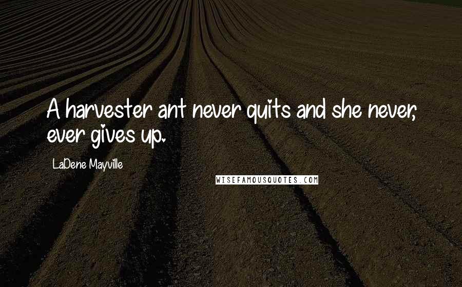 LaDene Mayville Quotes: A harvester ant never quits and she never, ever gives up.