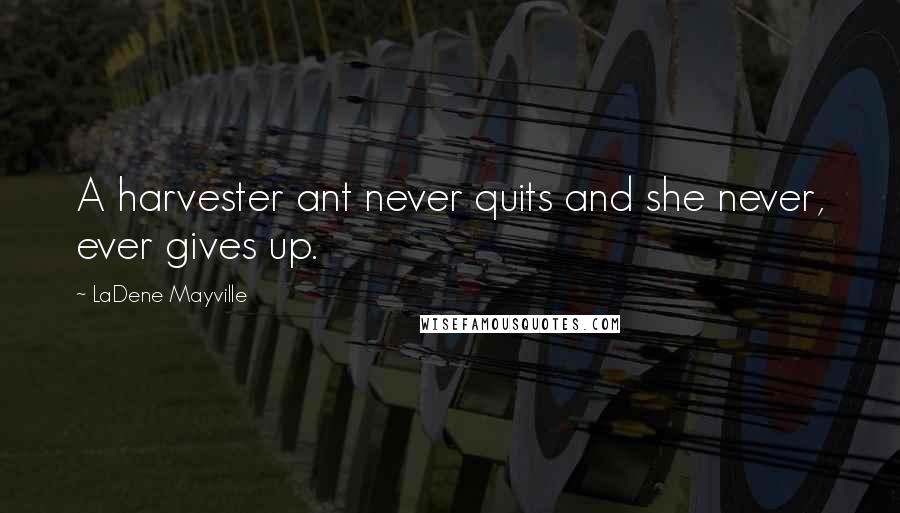 LaDene Mayville Quotes: A harvester ant never quits and she never, ever gives up.