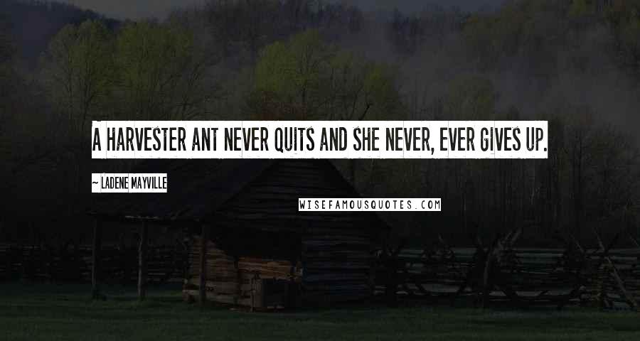 LaDene Mayville Quotes: A harvester ant never quits and she never, ever gives up.