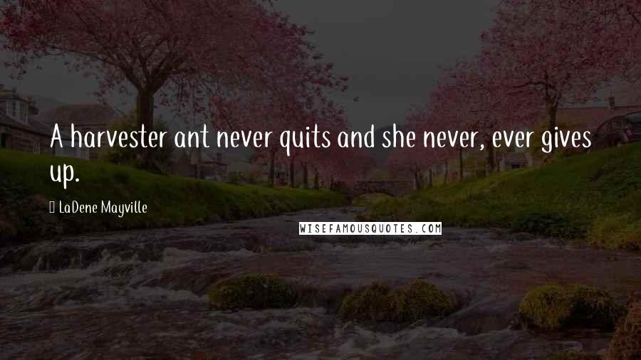 LaDene Mayville Quotes: A harvester ant never quits and she never, ever gives up.