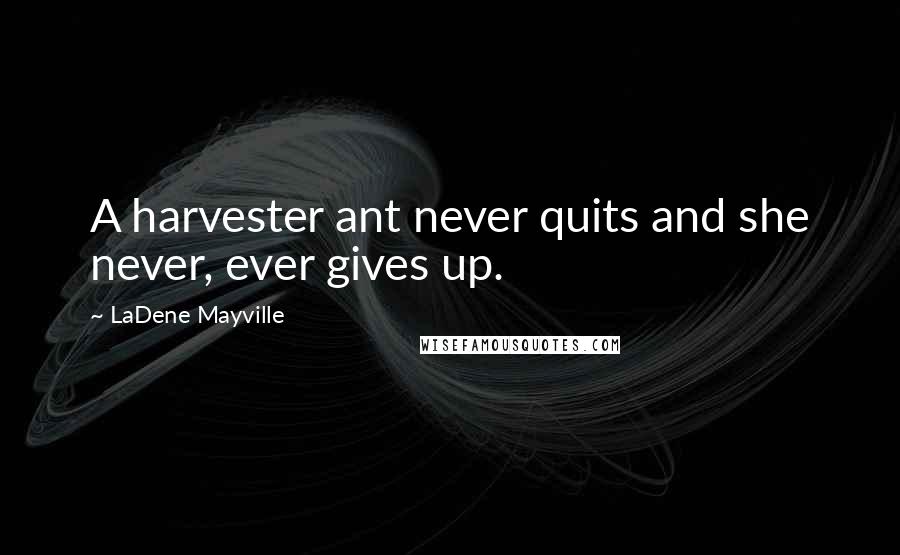 LaDene Mayville Quotes: A harvester ant never quits and she never, ever gives up.