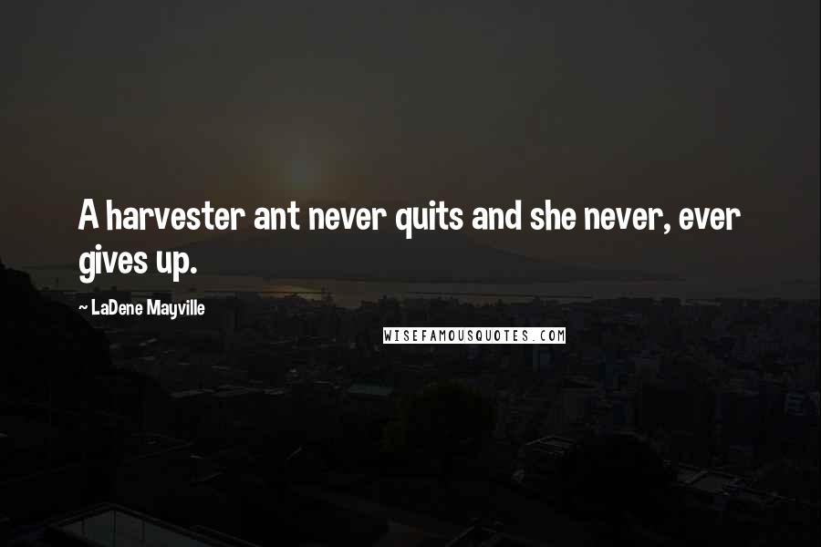 LaDene Mayville Quotes: A harvester ant never quits and she never, ever gives up.