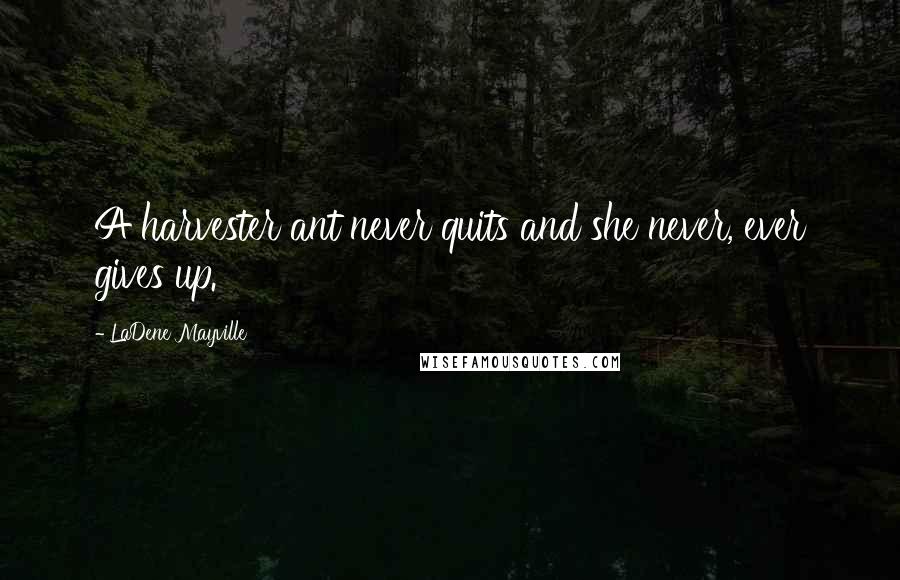LaDene Mayville Quotes: A harvester ant never quits and she never, ever gives up.