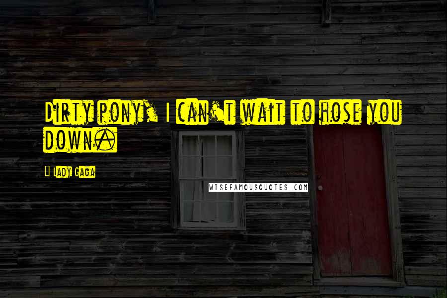 Lady Gaga Quotes: Dirty pony, I can't wait to hose you down.