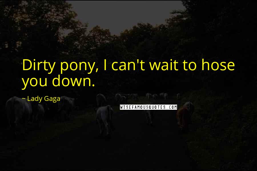 Lady Gaga Quotes: Dirty pony, I can't wait to hose you down.