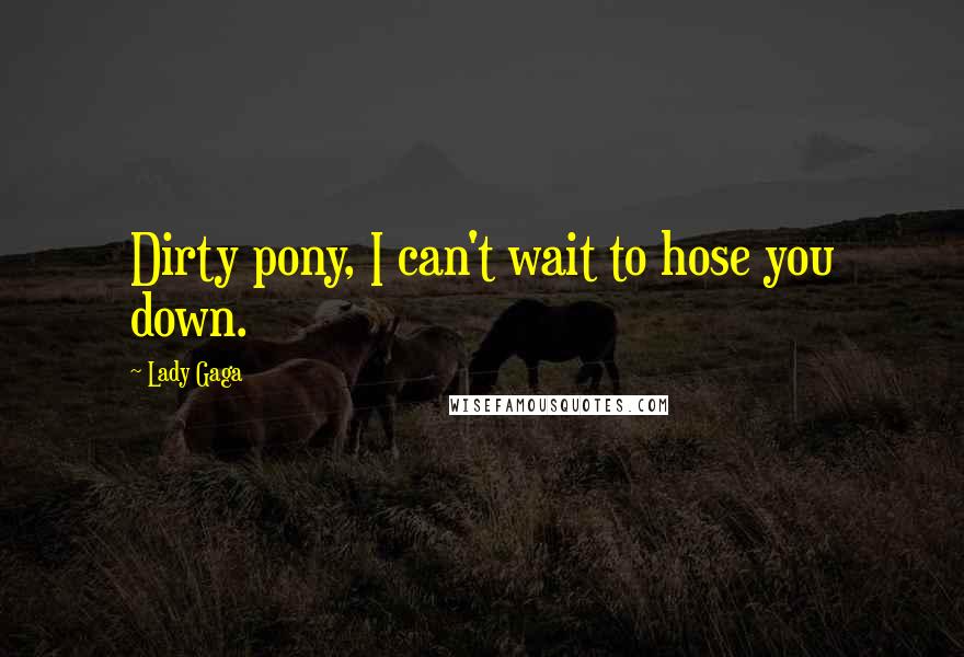 Lady Gaga Quotes: Dirty pony, I can't wait to hose you down.