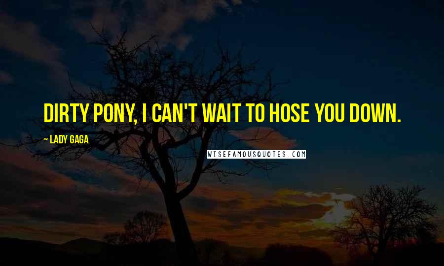 Lady Gaga Quotes: Dirty pony, I can't wait to hose you down.