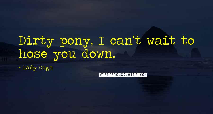 Lady Gaga Quotes: Dirty pony, I can't wait to hose you down.