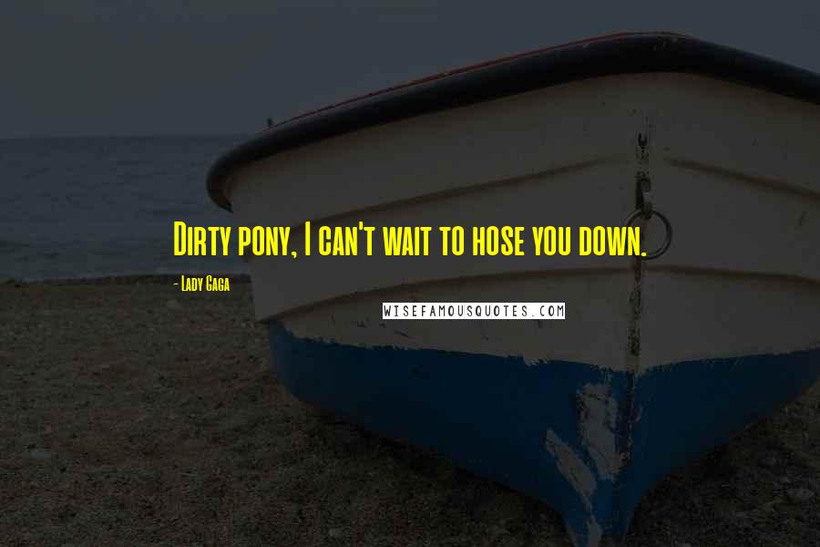 Lady Gaga Quotes: Dirty pony, I can't wait to hose you down.