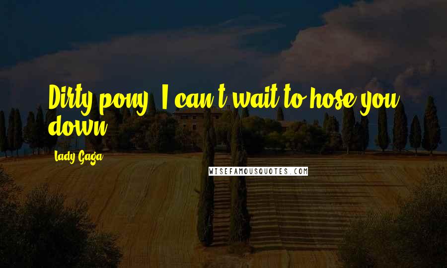 Lady Gaga Quotes: Dirty pony, I can't wait to hose you down.
