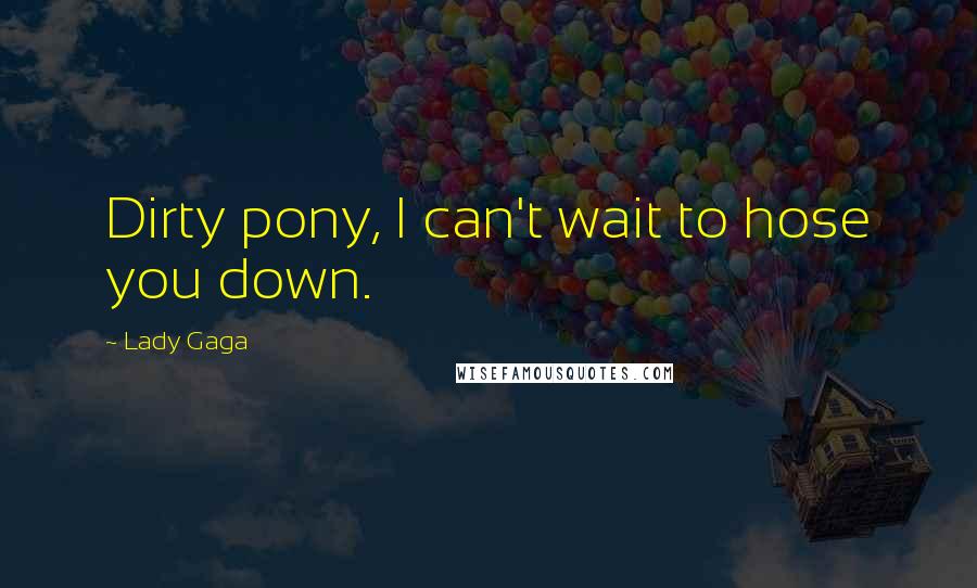 Lady Gaga Quotes: Dirty pony, I can't wait to hose you down.