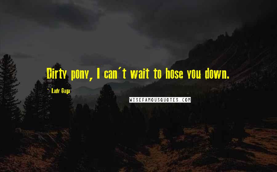 Lady Gaga Quotes: Dirty pony, I can't wait to hose you down.