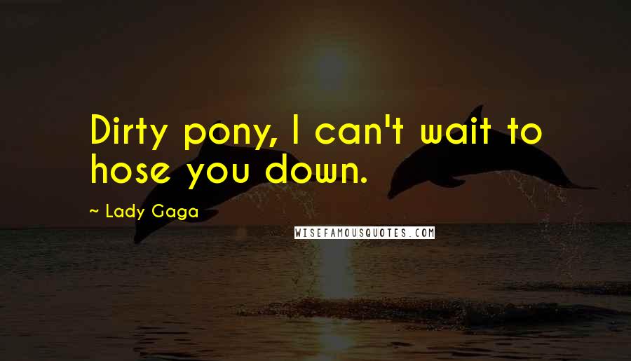 Lady Gaga Quotes: Dirty pony, I can't wait to hose you down.