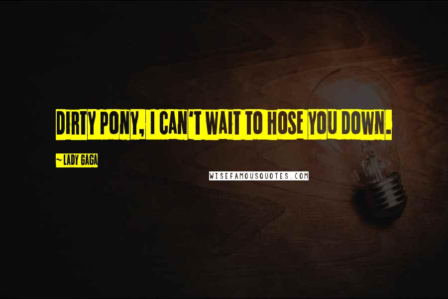 Lady Gaga Quotes: Dirty pony, I can't wait to hose you down.