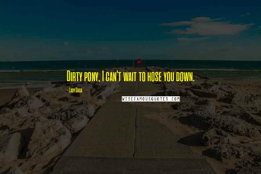Lady Gaga Quotes: Dirty pony, I can't wait to hose you down.